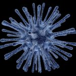What You Need to Know About Varicella Virus